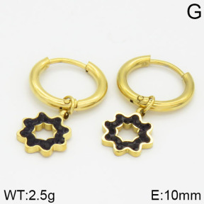 Stainless Steel Earrings  2E4000563vbnb-723