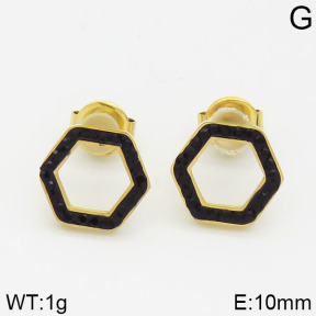 Stainless Steel Earrings  2E4000564vbnb-723