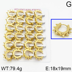 Stainless Steel Earrings  2E2000273ajvb-689