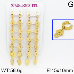 Stainless Steel Earrings  2E2000277bika-689