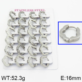 Handmade Polishing Stainless Steel Earrings  2E2000290ajoa-689
