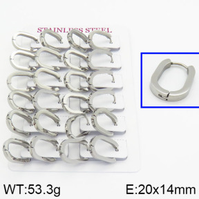 Handmade Polishing Stainless Steel Earrings  2E2000292ajoa-689