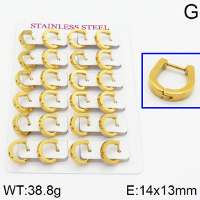 Handmade Polishing Stainless Steel Earrings  2E2000320akka-689