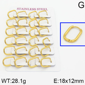 Handmade Polishing Stainless Steel Earrings  2E2000334ajna-689