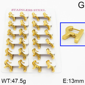 Handmade Polishing Stainless Steel Earrings  2E2000339akka-689