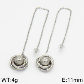 Stainless Steel Earrings  2E2000410vbll-436