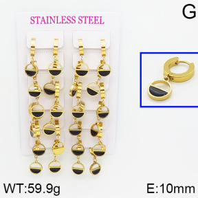 Stainless Steel Earrings  2E3000302bjja-689