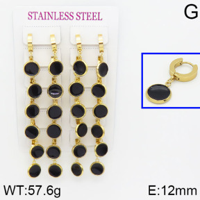 Stainless Steel Earrings  2E3000306bjja-689