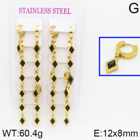 Stainless Steel Earrings  2E3000307bjja-689