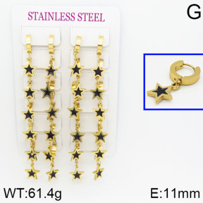 Stainless Steel Earrings  2E3000308bjja-689