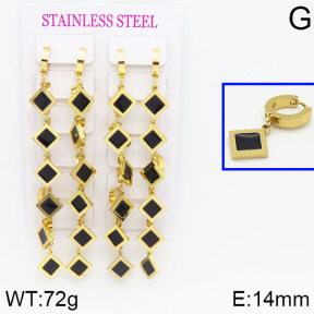 Stainless Steel Earrings  2E3000310bjja-689
