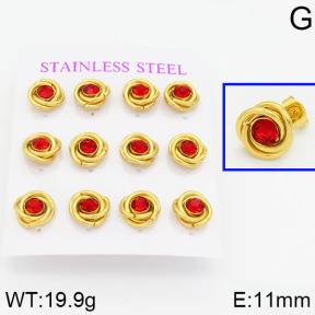 Stainless Steel Earrings  2E4000566aivb-436