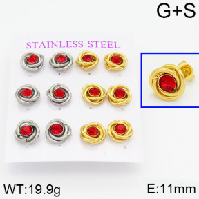 Stainless Steel Earrings  2E4000567vhol-436