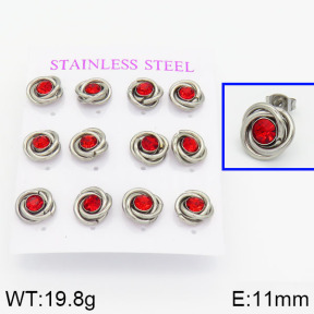 Stainless Steel Earrings  2E4000568vhnv-436
