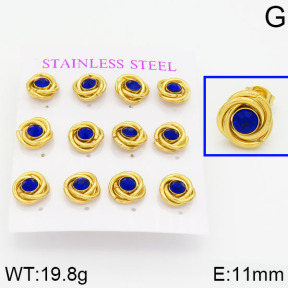 Stainless Steel Earrings  2E4000569aivb-436