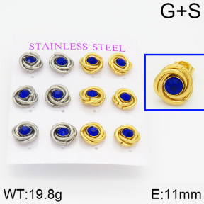 Stainless Steel Earrings  2E4000570vhol-436