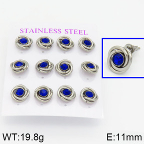 Stainless Steel Earrings  2E4000571vhnv-436