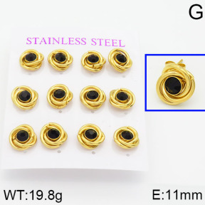 Stainless Steel Earrings  2E4000572aivb-436