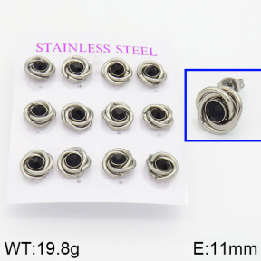 Stainless Steel Earrings  2E4000574vhnv-436