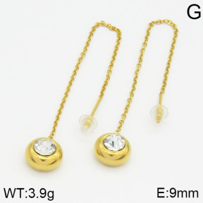 Stainless Steel Earrings  2E4000578ablb-436