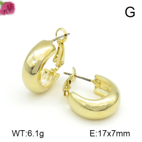 Fashion Earrings  F7E200032bhva-K69
