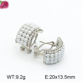 Fashion Earrings  F7E300107bhia-K69