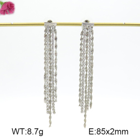 Fashion Earrings  F7E400275ahlv-K69