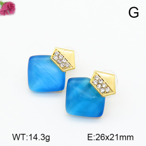Fashion Earrings  F7E400283bhia-K69