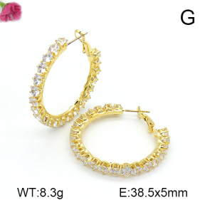 Fashion Earrings  F7E400286vhmv-K69