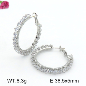 Fashion Earrings  F7E400287vhmv-K69