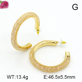 Fashion Earrings  F7E400288vhmv-K69