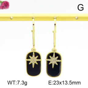 Fashion Earrings  F7E400298vhml-K69