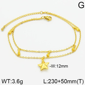 Stainless Steel Anklets  2A9000124vbnb-436