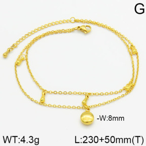 Stainless Steel Anklets  2A9000148vbnb-436
