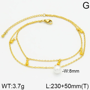 Stainless Steel Anklets  2A9000158vbnb-436