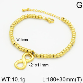 Stainless Steel Bracelet  2B2000360bvpl-436