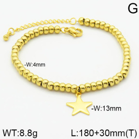 Stainless Steel Bracelet  2B2000376vbpb-436