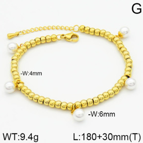 Stainless Steel Bracelet  2B3000203bhva-436