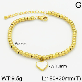 Stainless Steel Bracelet  2B3000217bvpl-436