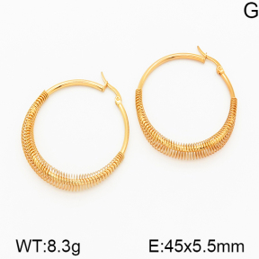 Stainless Steel Earrings  5E2000900ablb-212