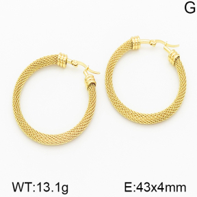 Stainless Steel Earrings  5E2000901vbmb-212