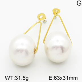 Stainless Steel Earrings  5E3000225vbmb-212