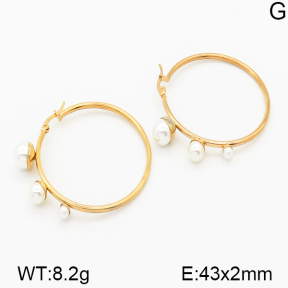 Stainless Steel Earrings  5E3000229vbnb-212