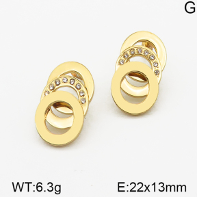 Stainless Steel Earrings  5E4000720vbnb-212