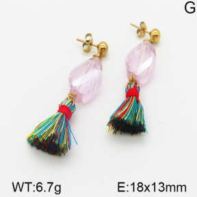 Stainless Steel Earrings  5E4000721ablb-212