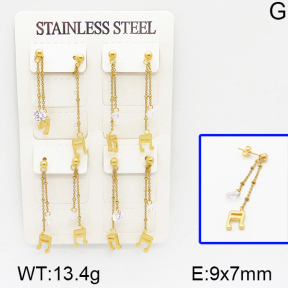 Stainless Steel Earrings  5E4000723aima-314