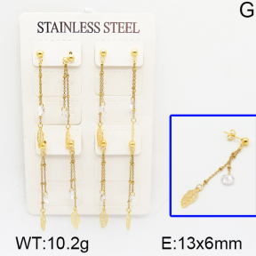 Stainless Steel Earrings  5E4000726aima-314