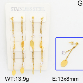 Stainless Steel Earrings  5E4000727aima-314