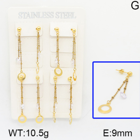 Stainless Steel Earrings  5E4000735aima-314