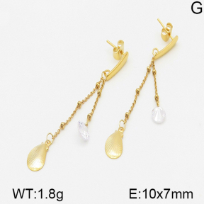 Stainless Steel Earrings  5E4000738vbnb-314